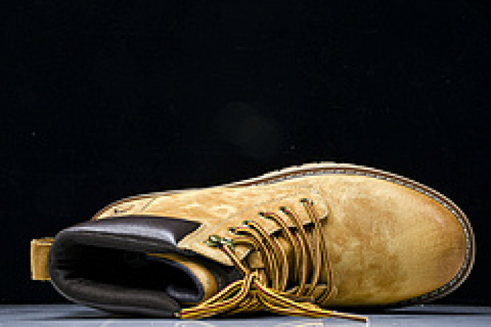 TIMBERLAND SNEAKER  TBL-04