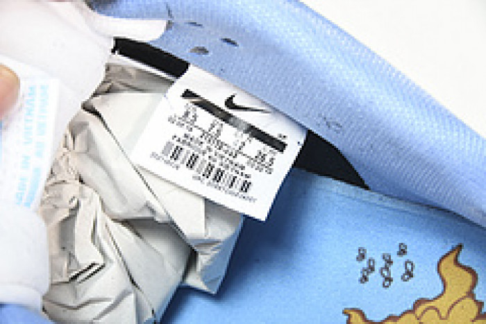 Nike DunkSB x FTC“Finally 20 Year” 313170-463