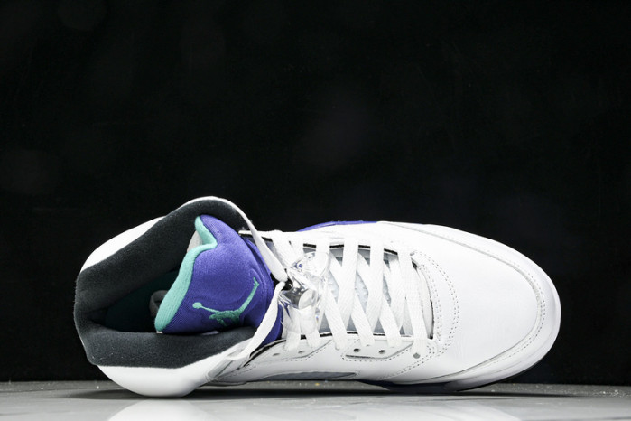 Air Jordan 5 HQ7978-100（2025）