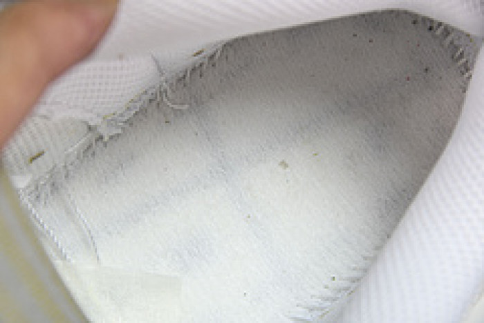 Nike Dunk Low DJ9955-100