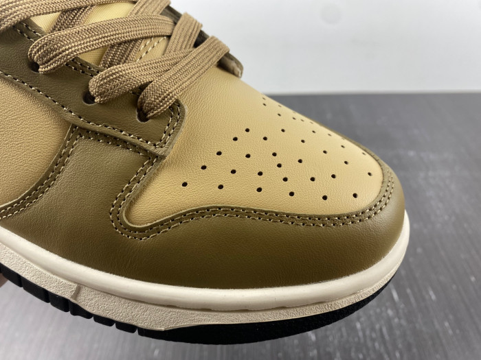 Nike SB Low Dark Driftwood DD1503-200