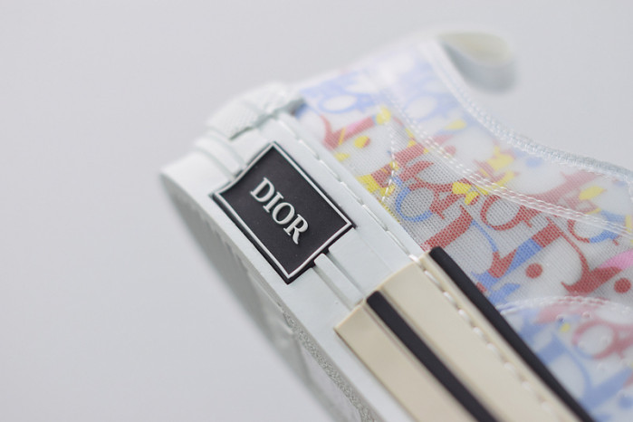 D10R B23 Oblique Low Top Sneakers L00N4